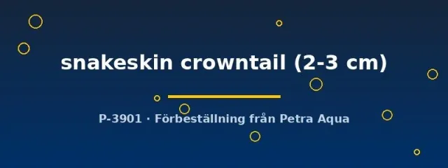 Näsets Poecilia Snakeskin Crowntail guppypaar 2–3 cm