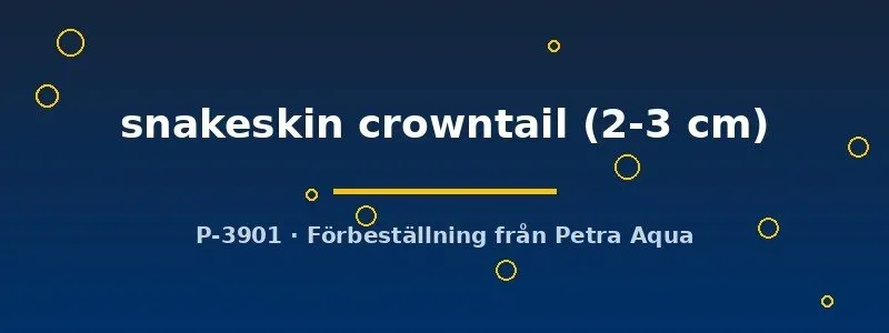 Näsets Poecilia Snakeskin Crowntail guppypaar 2–3 cm