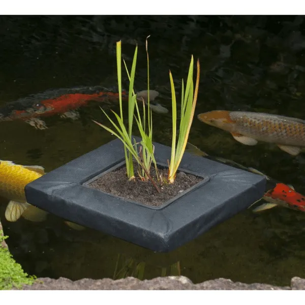Näsets Ciklidhobby planteringsö flytande kvadratisk 20 cm 35x35