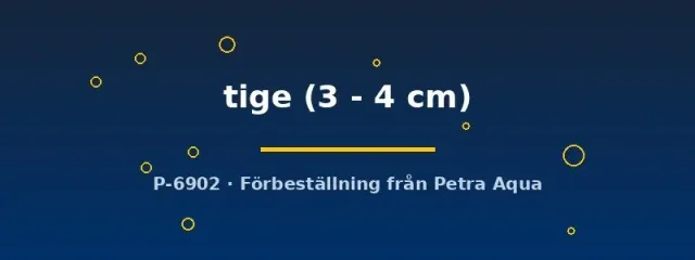 Näsets Ciklidhobby Poecilia ret. tiger akvariefisk par 3–4 cm