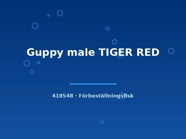 Näsets Ciklidhobby Guppy Tiger Red hanguppy lg