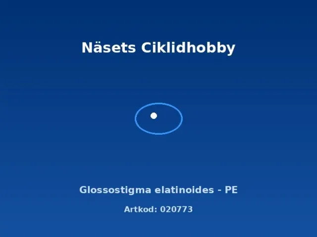 Glossostigma elatinoides PE akvarieväxt matta förgrund