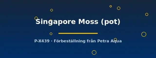 Näsets Ciklidhobby Singapore Moss Vesicularia dubyana akvariemossa pot