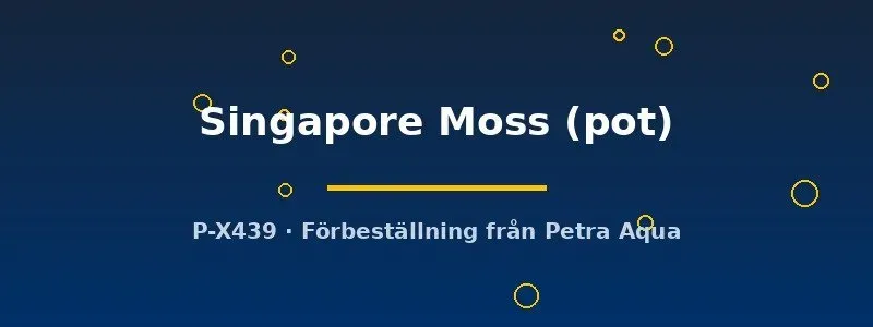 Näsets Ciklidhobby Singapore Moss Vesicularia dubyana akvariemossa pot