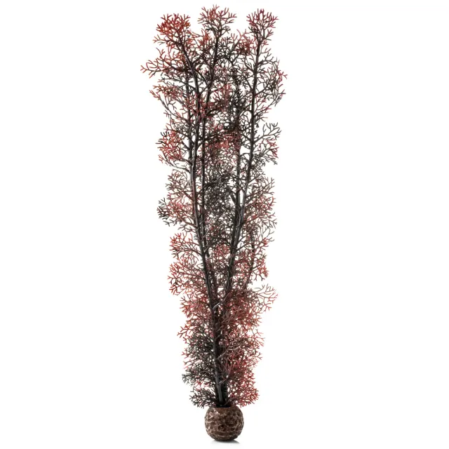 biOrb Extra Large Sea Fan växt crimson 490 mm