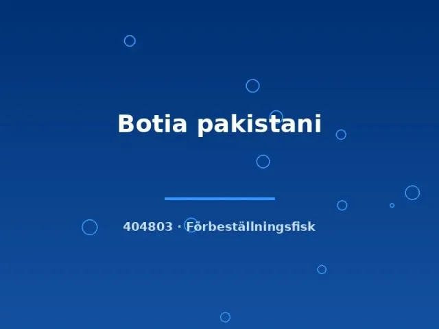 Näsets Ciklidhobby Botia pakistani akvariefisk 5–6 cm grupp