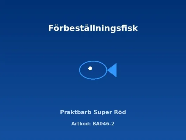 Näsets Ciklidhobby Praktbarb Super Röd akvariefisk 4 cm stimfisk