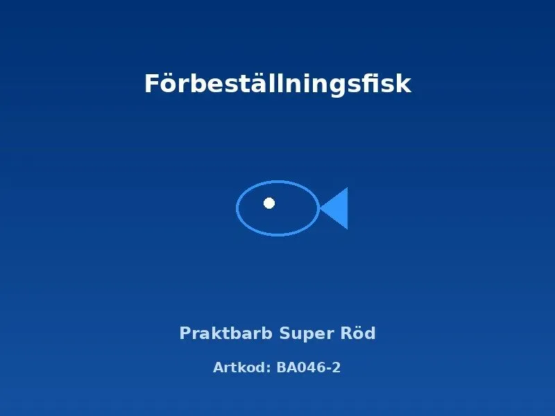 Näsets Ciklidhobby Praktbarb Super Röd akvariefisk 4 cm stimfisk