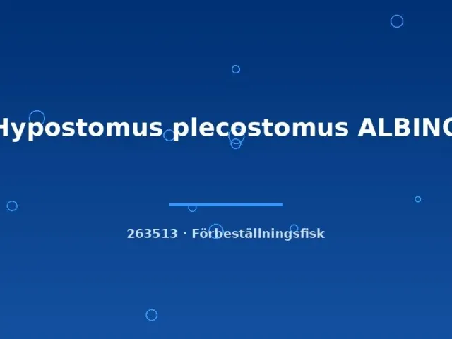 Näsets Hypostomus plecostomus albino mal 6–8 cm