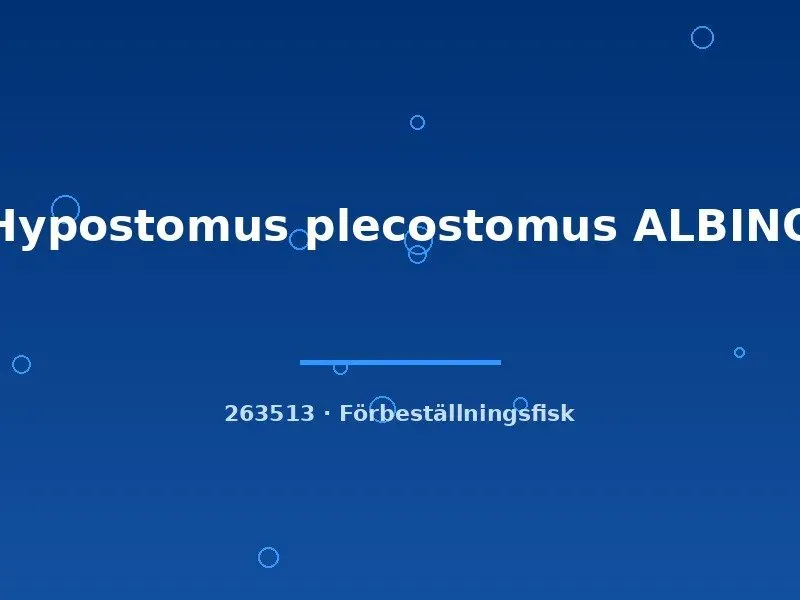 Näsets Hypostomus plecostomus albino mal 6–8 cm