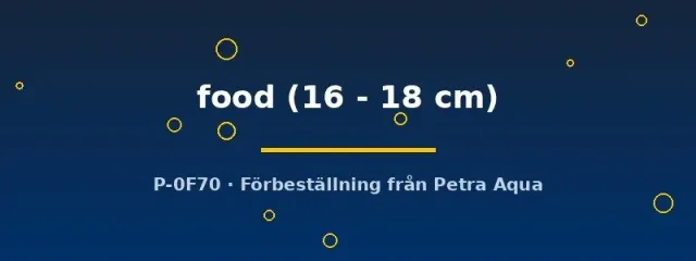 Näsets Ciklidhobby foderfisk levande akvariefisk 16–18 cm