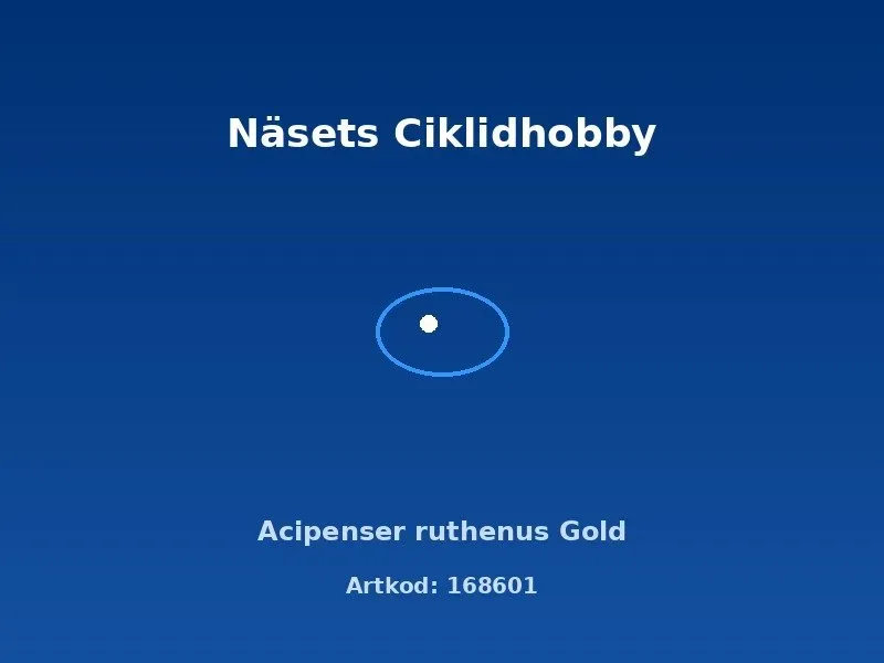Näsets Acipenser Ruthenus Gold stör dammfisk gul