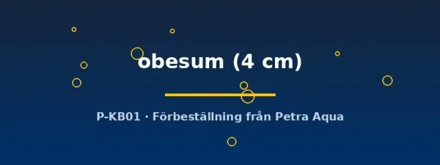 Näsets Ciklidhobby Metasesarma obesum akvariekrabba 4 cm