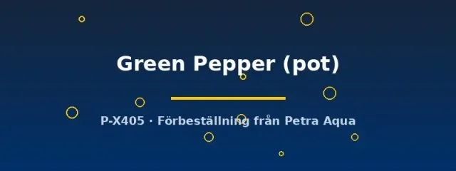Näsets Echinodorus Green Pepper akvarieväxt kruka stor