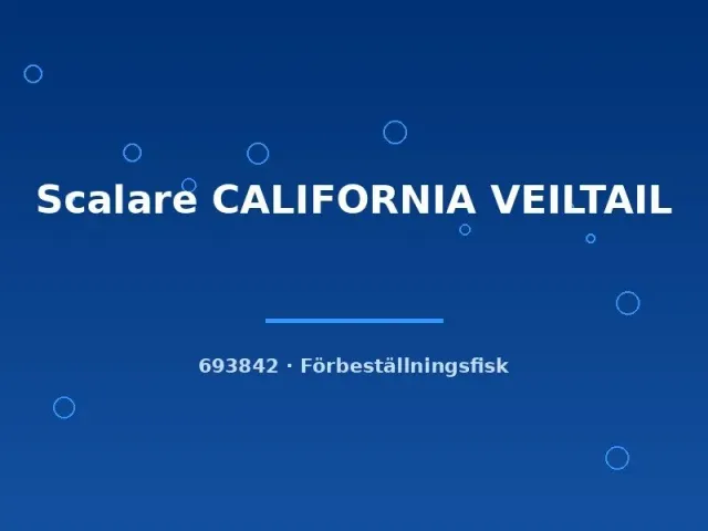 Näsets Ciklidhobby Scalare California Veiltail skalar md slöjfenad