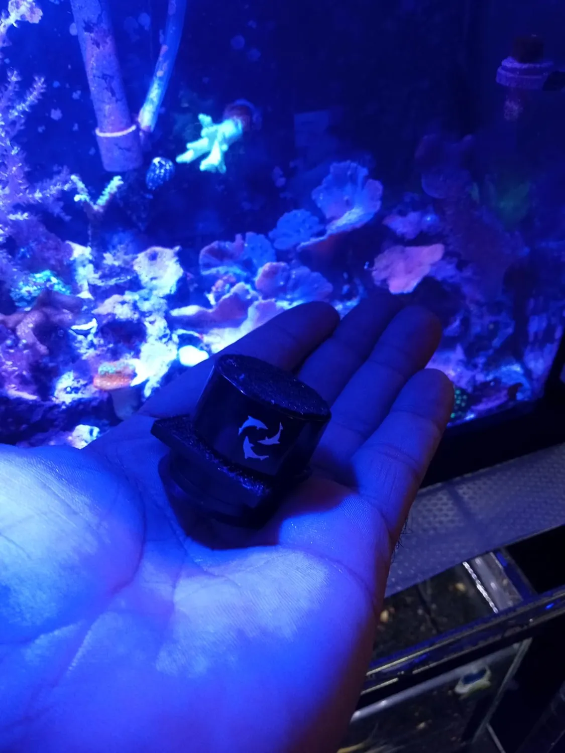 Flipper Pico magnetskrapa svart för 6 mm glas