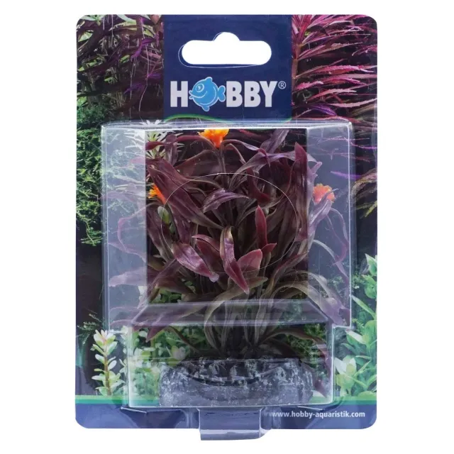 Hobby Nesaea dekorväxt 7 cm plast