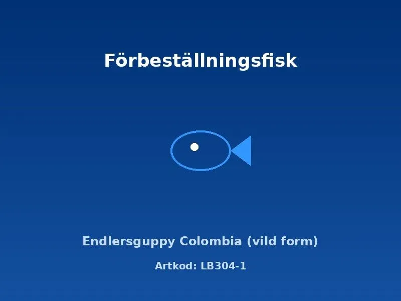 Näsets Endlersguppy Colombia vildform guppy 2–2,5 cm lyretail