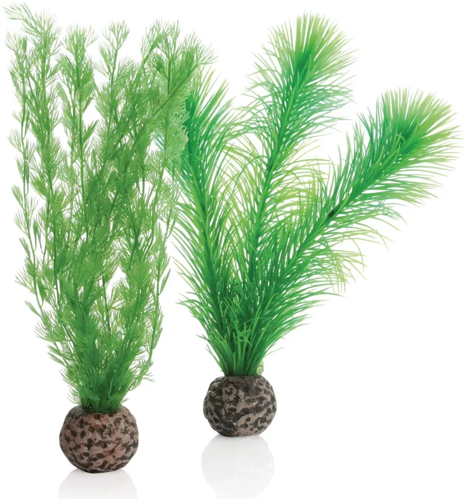 biOrb Feather Fern set S akvarieväxt grön 2-pack skötselfri