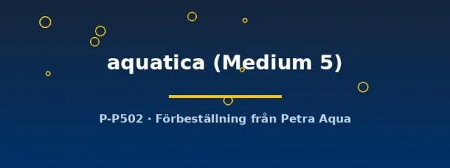 Näsets Ciklidhobby Amorancia aquatica akvariefisk Medium 5 tålig
