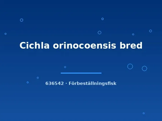 Näsets Ciklidhobby Cichla orinocoensis bred ciklid 5–7 cm