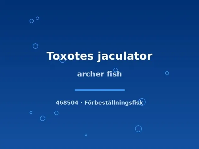 Toxotes jaculator Archer Fish akvariefisk 7–9 cm