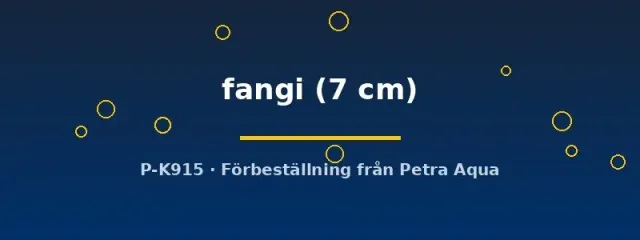 Tetraodon fangi kulfisk 7 cm sötvatten