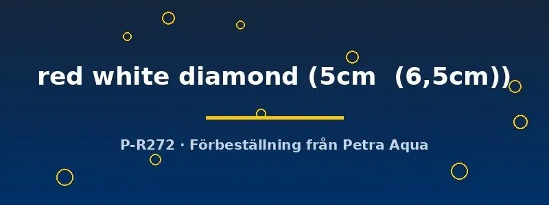 Näsets Ciklidhobby Symphysodon red white diamond diskus 5–6,5 cm