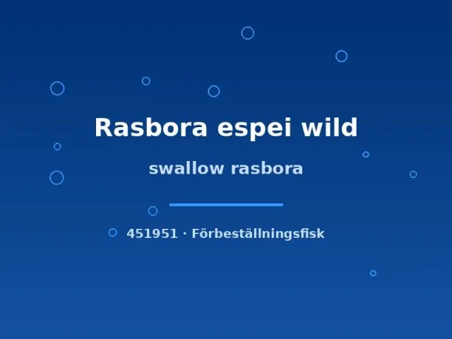Näsets Ciklidhobby Rasbora espei wild stimfisk sm