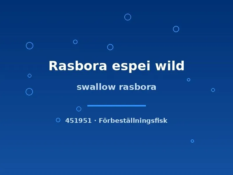 Näsets Ciklidhobby Rasbora espei wild stimfisk sm