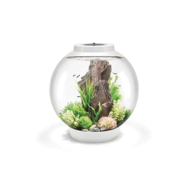 biOrb Classic 60 LED akvarium 60 liter vit