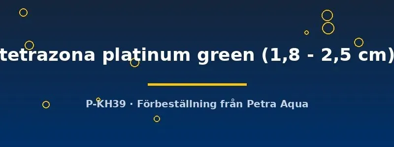 Näsets Ciklidhobby Barbus tetrazona platinum green barb 2 cm