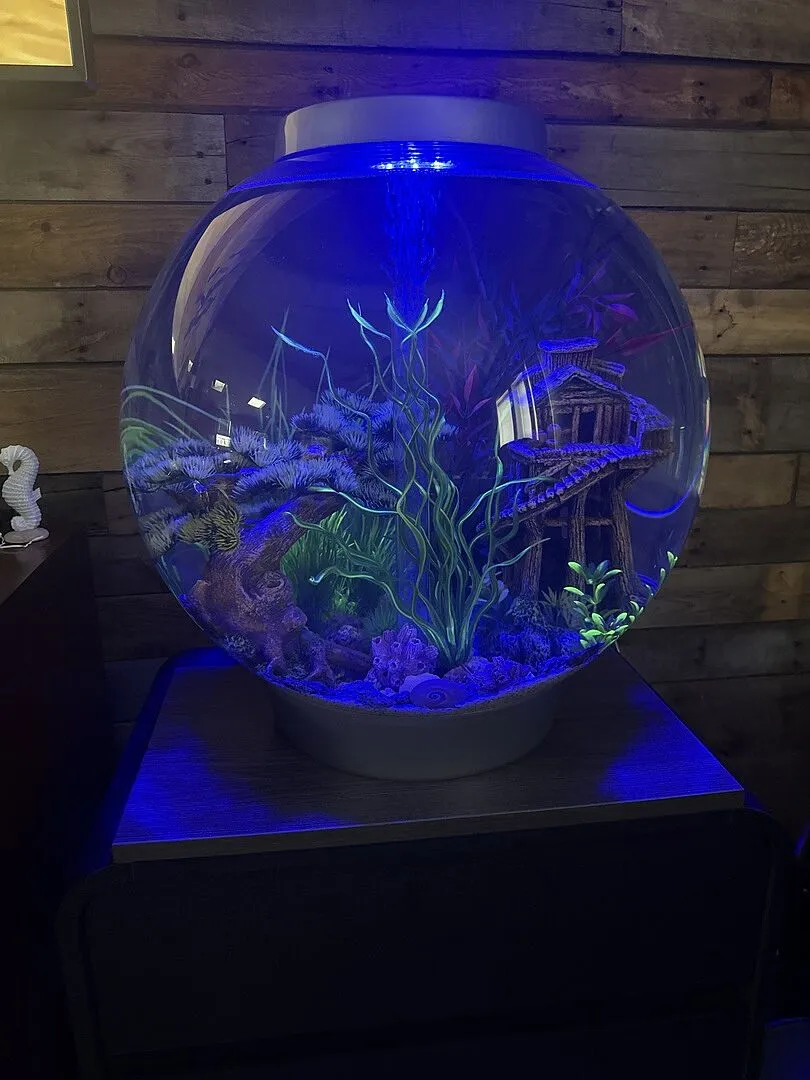 biOrb MCR LED akvariebelysning small färrstyrd
