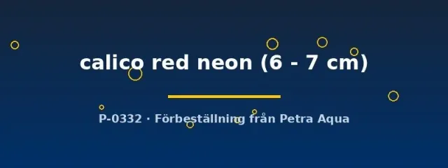 Aulonocara calico red neon malawiciklid 6–7 cm färgstark