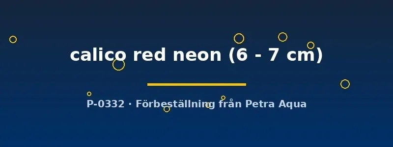 Aulonocara calico red neon malawiciklid 6–7 cm färgstark