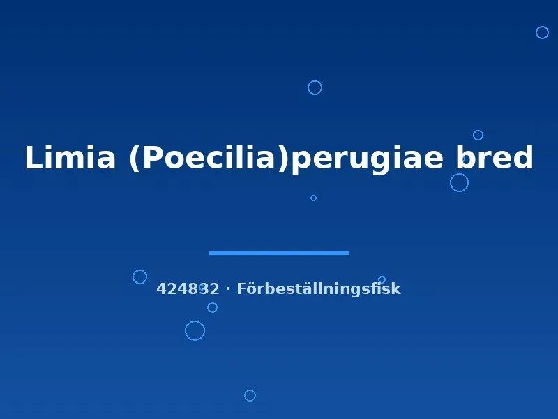 Näsets Ciklidhobby Limia perugiae bred md akvariefisk levandefödare