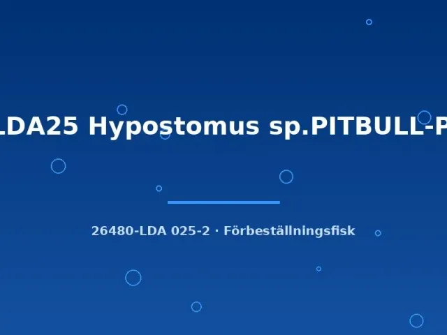 LDA25 Pitbull Hypostomus sp. mal 3–4 cm algätare