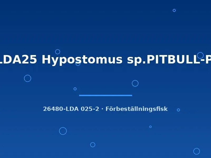 LDA25 Pitbull Hypostomus sp. mal 3–4 cm algätare