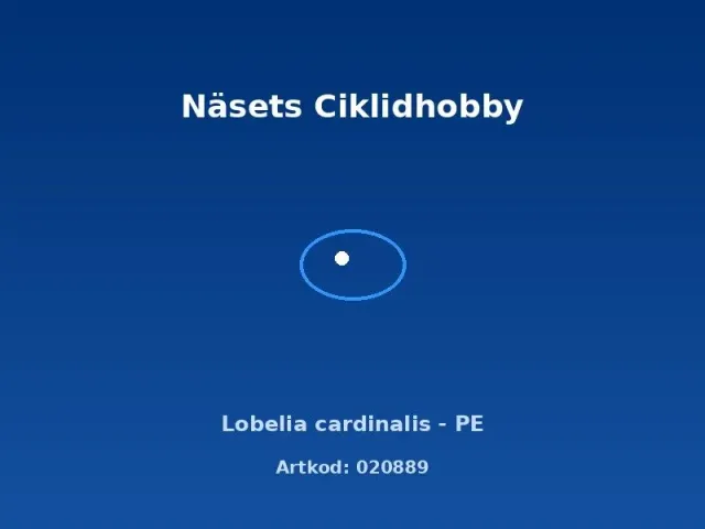 Näsets Ciklidhobby Lobelia Cardinalis växt PE grön