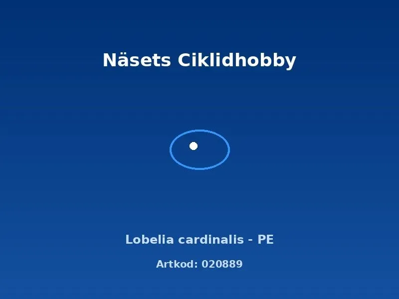 Näsets Ciklidhobby Lobelia Cardinalis växt PE grön