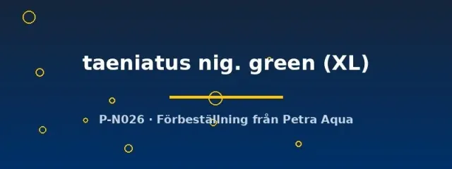 Näsets Ciklidhobby Pelvicachromis taeniatus nig. green ciklid XL