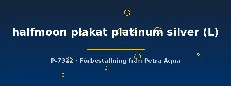Betta Halfmoon Plakat Platinum Silver L kampfisk hane silver