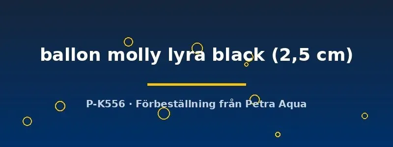 Näsets Ciklidhobby Poecilia latipinna ballon molly lyra black 2,5cm