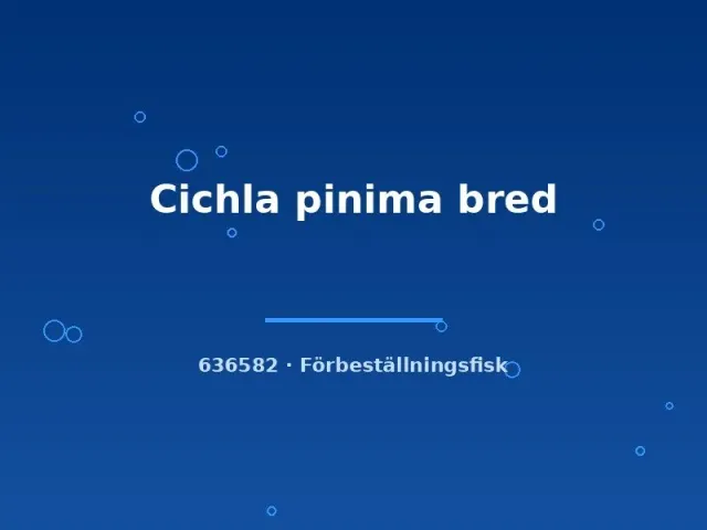 Näsets Ciklidhobby Cichla pinima akvariefisk 3-5 cm bred