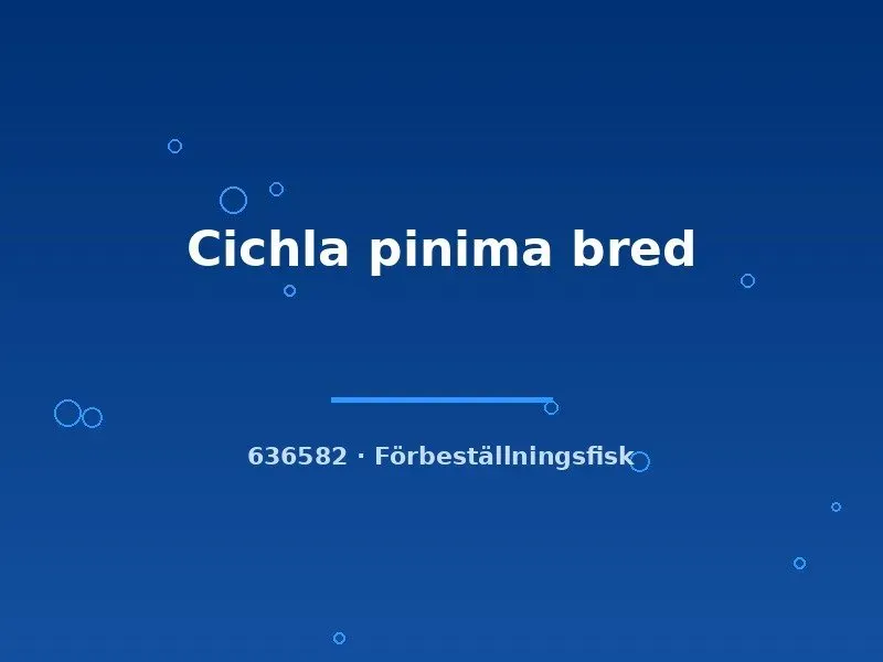 Näsets Ciklidhobby Cichla pinima akvariefisk 3-5 cm bred
