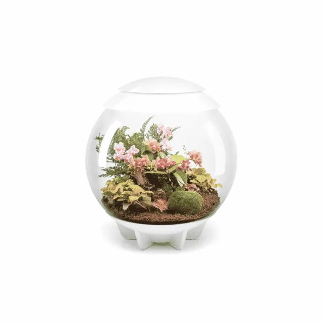 biOrb AIR 60 terrarium 60 liter vit