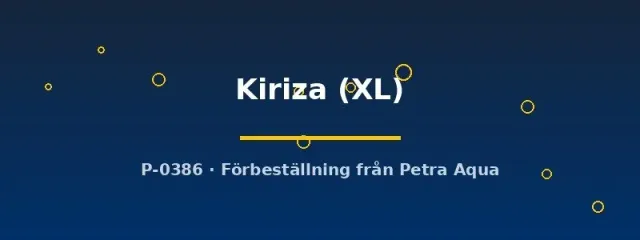 Näsets Ciklidhobby Cyprichromis Kiriza ciklid XL microlepidotus