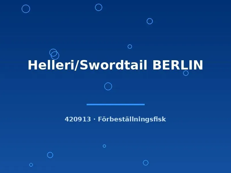 Näsets Ciklidhobby Helleri Berlin svärdfisk md-lg