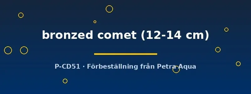 Näsets Ciklidhobby Bronzed comet guldfisk 12–14 cm