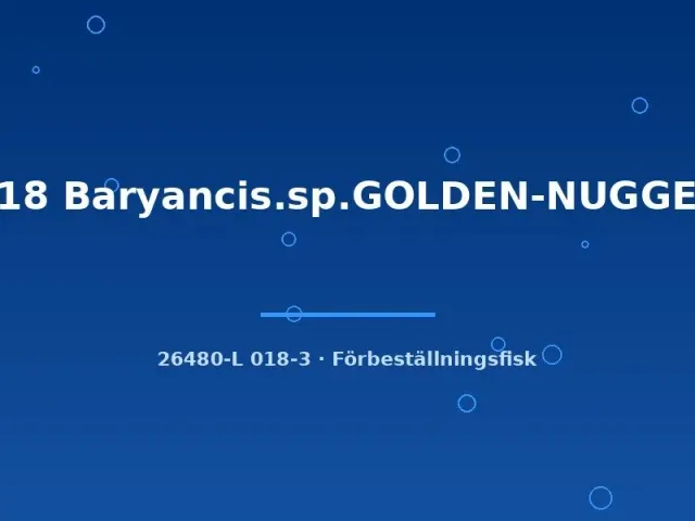 Näsets Ciklidhobby L18 Golden Nugget mal 8–10 cm